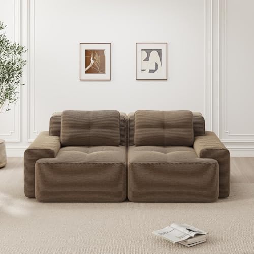 EURHCIO Canapé 2 Places Salon,Fauteuil 2 Places avec 2 Coussins,Canapé Modulable,Velours Côtelé,Pas d’Assemblage Requis (Marron, 2 Places)