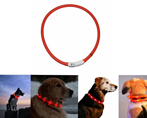 Orchidtent, Led-halsband voor honden en huisdieren, oplaadbaar via USB, waterdicht, verstelbare lengte