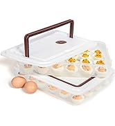 Aazon.co: 77L Deviled Egg Containers With Lid (Set Of 2), Plastic Deviled Egg Tray Carrier