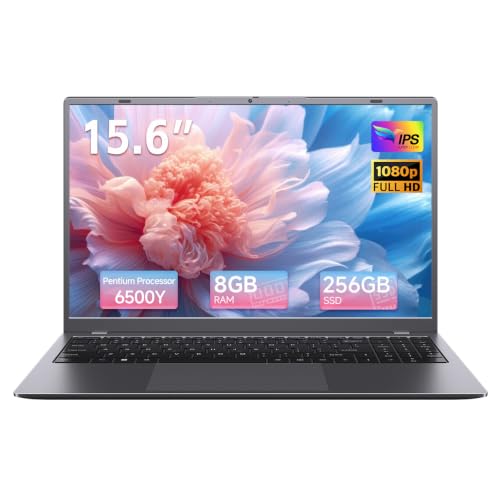 ARCBUC 15.6 Inch Laptop Computer, 8GB RAM 256GB SSD, Pentium Gold Processor