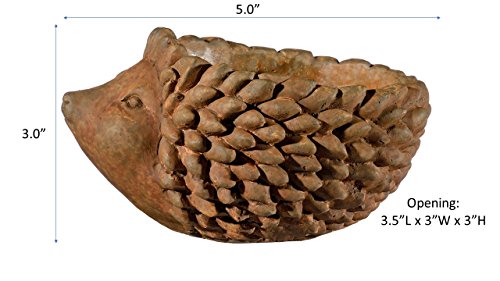 image for Classic Home and Garden 9/3431R/1 Hedgehog Planter, Small, Rust, Natur