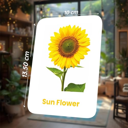 Image of SPARTAN KIDS Flower Flash Cards for Kids | 27 Early Learning Flash Cards Easy & Fun Way of Learning 1 Year to 6 Years Babies, for Cognitive Skills