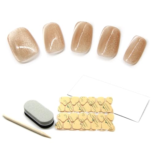 lC`bv V[g   i _ fUC SV[t JԂg P[XtZbg (R[, L)