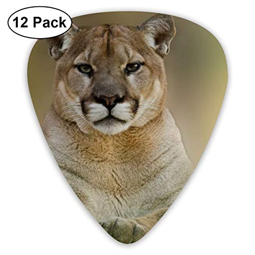 Lion Close Up Púas de guitarra Plectrums Púas de ukelele de guitarra acústica, paquete de 12