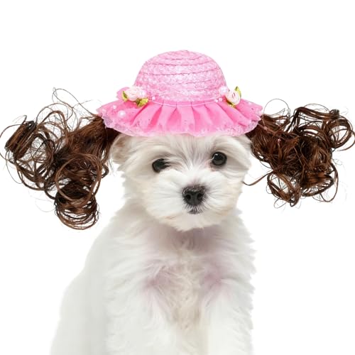 pXq - 킢 ʔ  t - Lp ʋC nbg - ybgp[eB[ENX}XEnEBE~GEEr[`p