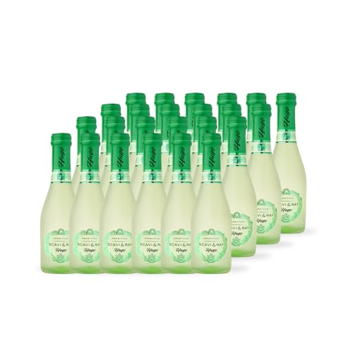SCAVI & RAY Hugo Aperitivo Piccolo 24 x 0 2l mediterraner Prosecco Cocktail mit Holunderblüte & Minze erfrischend süß und spritzig 5 5% Vol. Alkohol perfekt für unterwegs & kleine Genussmomente
