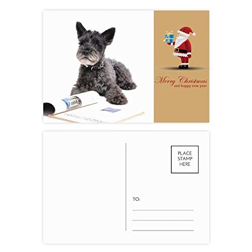Cartes postales de remerciement pour chien par lot de 20 pièces