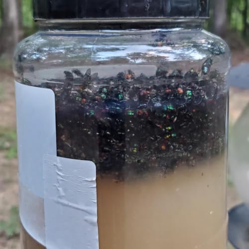 Image of 20 Pack Fly Trap Bait Refills, 20x30g Magnet Biting Attractant for Outdoor