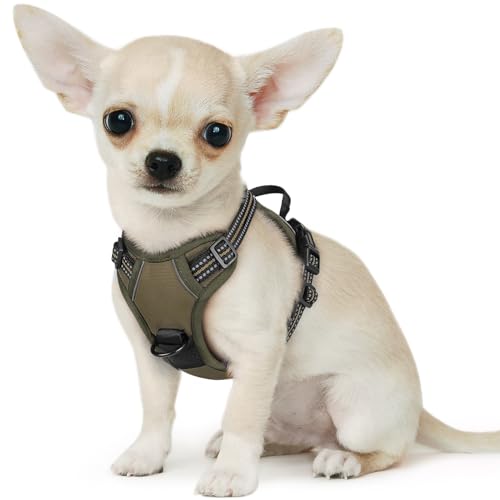 Image of Eagloo Dog Harness for Small Dogs, No Pull Pet Vest with 2 Leash Clips