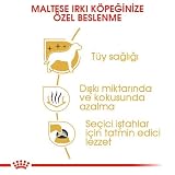 Royal Canin Maltese 24 Adult 1,5kg