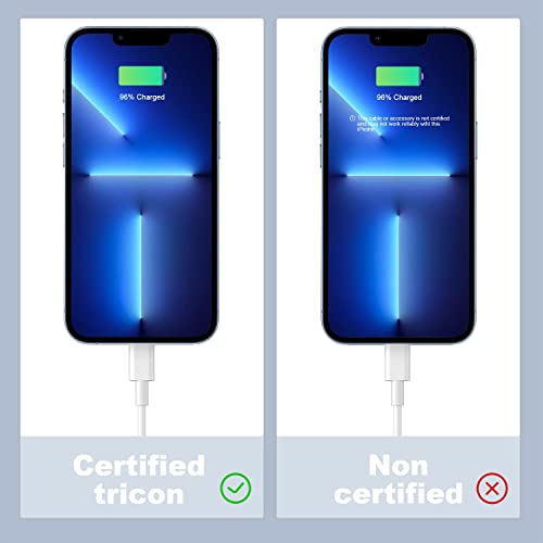iPhone Ladekabel 1M, 2er Pack 3ft iphone 11 usb auf lightning kabel – Ansicht 5