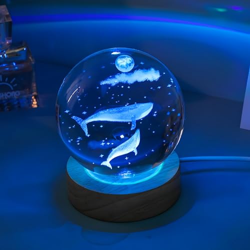 3D NX^ {[ a v[g    lC Mtg  xbhTChv NX^{[ ԐڏƖ LEDCg ؐy ͋C  Mtg w   LO a NX}X v[g (NW, 6