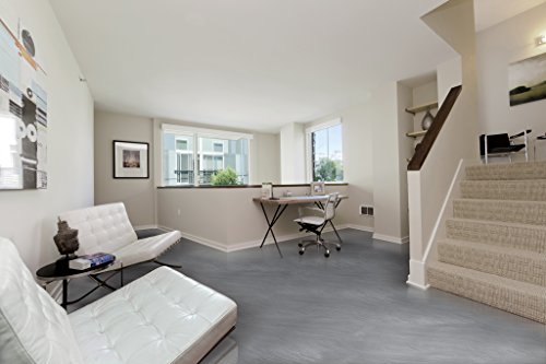 Rust-Oleum 286983 Metallic Floor Coating Kit-Silver Bullet