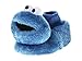 Sesame Street Cookie Monster Toddler Boys Girls Plush 3D Head Sock Top Slippers (5-6 M US Toddler, Cookie Monster Blue)