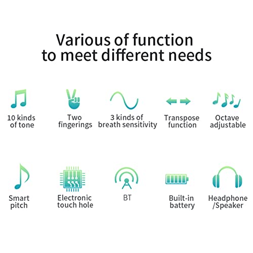 Homesen BT Digital Instrumento de Sopro Eletrônico Recarregável Suporta 10 Tons Ajustável Sensibilid