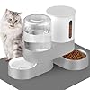 Automatic Cat Feeder and Water Dispenser, 2 in 1 Gravity Pet Food Feeder and Water Set with Stainless Steel Food Bowl for Cats, Small Dogs, Rabbits, 360 Degree Rotatable, Include Non-Slip Mat