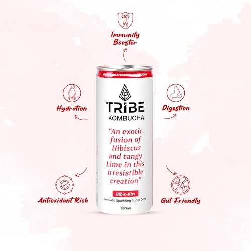 Image of Tribe Kombucha Probiotic Super Drink | Supports Gut Health | Gluten-Free | Naturally Fermented | Super Refreshing | Gut Friendly | Improves Blood Sugar | Antioxidant and Hydration | No Added Sugar | 250 ML X 6 (HIIIBISCUS)