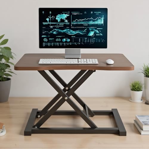 Raisme X^fBOfXN  KX~ p\RfXN 73cm×s47cm [e[u iK i gsv ItBX[Ne[u l炵 20kg׏d (N~F)