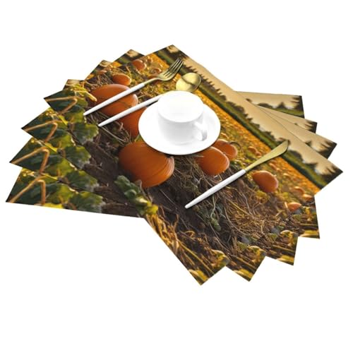 Set de table tissé de qualité supérieure pour table à manger - 6