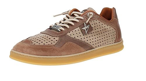 Chaussures de sport Barefoot Cetti C848 daim homme basket flexible