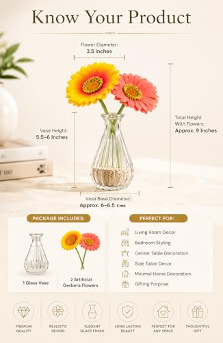 Image of Divyakosh Artificial Flower Vase | Glass Vase (1) with Gerbera Flowers (2) | Home Decoration Items for Living Room | Aesthetic Home Decor, Vase for Home decor'