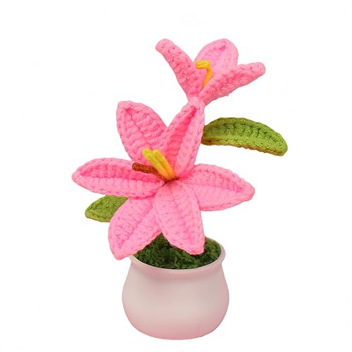 RANXIZY Handmade Potted Crochet Lily Flower Artificial Lily Flowers Plants with Realistic Stamen Mini Knitted Floral Lilies for Desk Decoration& Gift 5.9 Inches Tall (Rose Red)