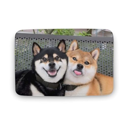 Č  L  oX}bg z/唻 փ}bg  O   \ ~ Aj LN^[ @}bg   ʏ