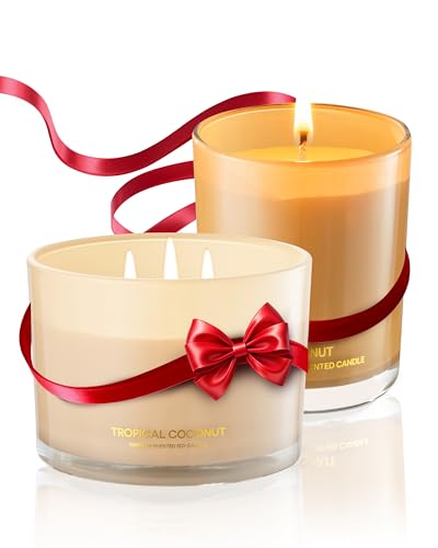 96NORTH-Luxury-and-Pure-Coconut-Candles-3-Wick-and-1-Wick-Jar-Candles-Relaxing-Aromatherapy-Aesthetic-Candle 96NORTH Luxury and Pure Coconut Candles 3 Wick and 1 Wick Jar Candles Relaxing Aromatherapy Aesthetic Candle