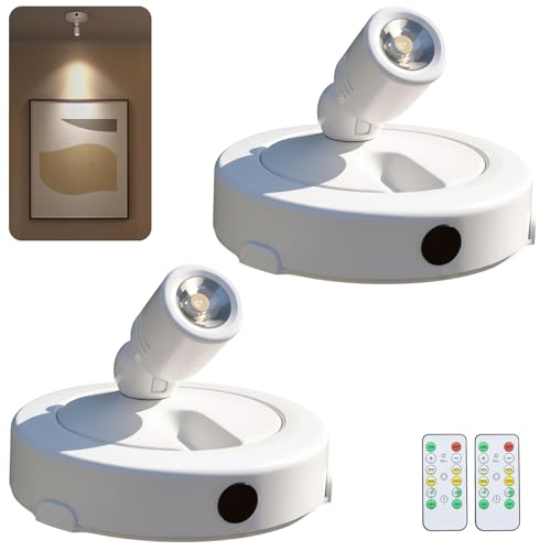 FFKWLTONG Battery Powered LED Spotlight Indoor, Accent Plant Lights by FFKWLTONG - Used condition - US$12.46