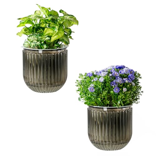Josteve Macetas de riego automático para interiores, 13,5 cm, paquete de 2 macetas de plástico para orquídeas, macetas de jardín al aire libre para hierbas, plantas de casa, violetas africanas, maceta