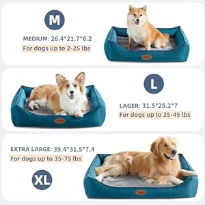 Orthopedic-Dog-Beds-for-Medium-Large-Dogs-Durable-Egg-Crate-Foam-Sofa-Dog-Bed-wit-Washable-Removable-CoverWaterproof-Lining-and-Nonskid-BottomPet-Bed-for-Large-Dogs-Peacock-Blue-Medium - Cucciolini Doodles   Orthopedic-Dog-Beds-for-Medium-Large-Dogs-Durable-Egg-Crate-Foam-Sofa-Dog-Bed-wit-Washable-Removable-CoverWaterproof-Lining-and-Nonskid-BottomPet-Bed-for-Large-Dogs-Peacock-Blue-Medium