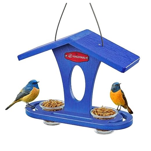 Kingsyard Bluebird Mealworm Bird Feeder