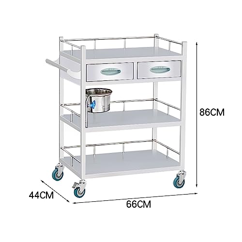 Carrito de acero inoxidable con ruedas – Carrito médico de 2 niveles para laboratorio, clínica, uso hospitalario