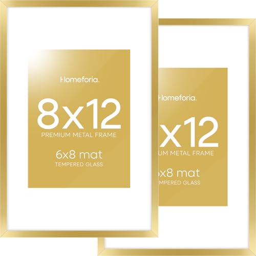 Homeforia 8x12 Picture Frame with Glass & Mat 6x8, Set of 2