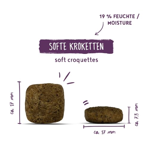 bosch HPC SOFT Senior Ziege & Kartoffel | halbfeuchtes Hundefutter für ältere | ernährungssensible Hunde aller Rassen | Single Protein | grain-free | 1 x 12.5 kg