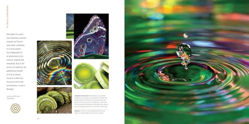 The Mandala Book: Patterns of the Universe - Image 5