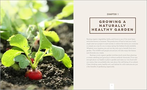 Organic-Gardening-for-Beginners-An-Eco-Friendly-Guide-to-Growing-Vegetables-Fruits-and-Herbs-Paperback--June-29-2021