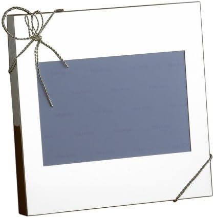 Vera Wang Love Knots 4x6 Photo Frame