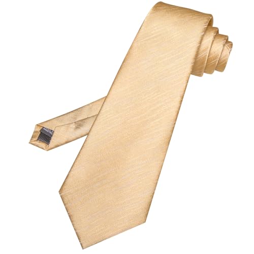 Image of Barry.Wang Silk Men Ties Formal Stripes Necktie and Tie Clip for Wedding Party Business Fashion Classic