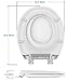 Tibokwoop Toilet Seat – 17-inch Round Toilet Seat, Quiet-Close Dampened Hinges & Tool-Free Quick-Release Design,Replacement for American Standard Toilets–White