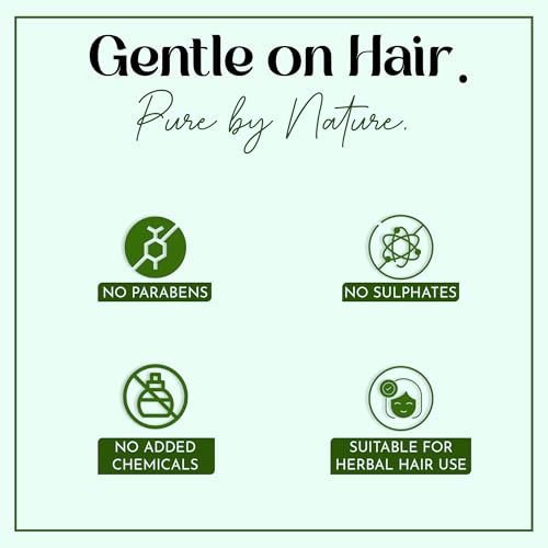 Mi Nature Fresh Sidr Leaves Powder 227gm (8oz) | Natural Deep Cleansing & Conditioning Herb for Hair Care | Traditional Herbal Cleanser |Plant-based Source of Mucilages and Saponins