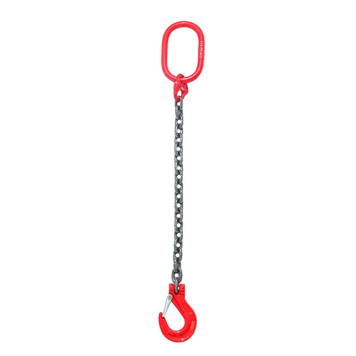 Chaînes de Levage avec Crochets, élingue de Levage Robuste à Un Seul Brin de 1 m, Crochet de préhension Industriel Robuste pour Le Levage de chaînes(1 Meter - 2 Tons)
