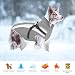 Oslueidy Wasserdichter Hundemäntelmit Geschirr Winter Warme Hundejacke Winddichte Haustier Kleidung Schneeanzug Hundejacken für Kleine Mittlere Große Hunde