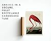 American Flamingo, John James Audobon Poster, Botanical print, Wildlife Science Wall Art, Animal Nature Gift Idea, Archival Matte, A1 (Print Only) - 84.1x59.4cm #5