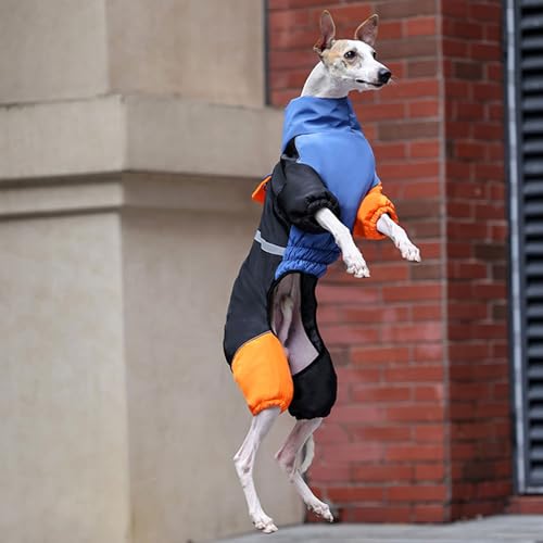 Abrigo de invierno para perro de 4 patas y chaqueta acolchada térmica ajustable 8
