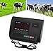 Digital Weight Indicator Livestock Scale, Heavy Duty Trailer Weight Scale, Industrial Scales for Warehouse and Animal Weighing, 4409Lbs Capacity