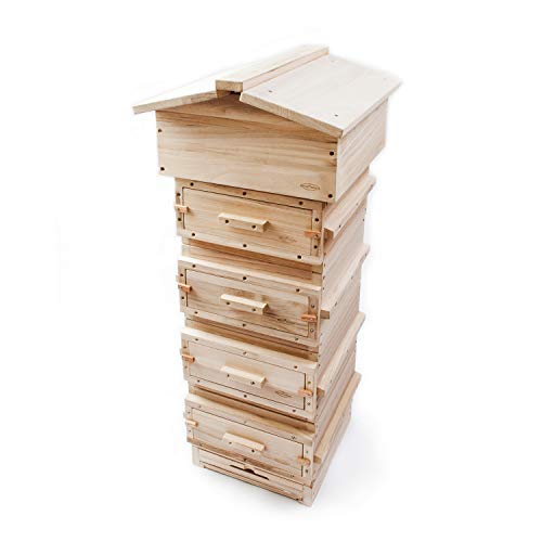 Paynes Warre Hive - Complete (wooden roof)