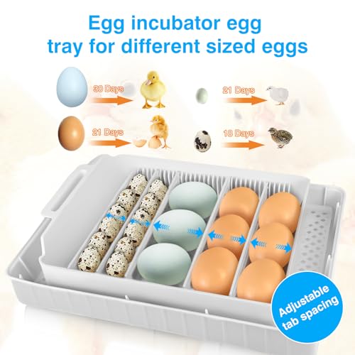 Incubators for Hatching Eggs 15-35 Eggs Incubator with Automatic Egg Turning and ℉Temperature Display LED Egg Candler Poultry Incubator for Hatching Chicken Duck and Quail Egg Incubator (Blue)