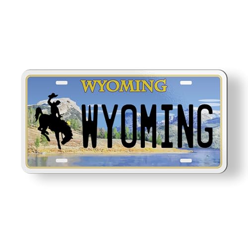 Imán estilo placa Wyoming para coche 3.5"