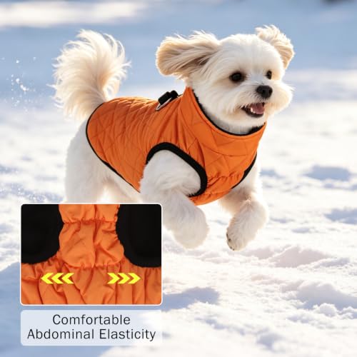Image of SCENEREAL Halloween Thanksgiving Dog Coat with Built-in Harness